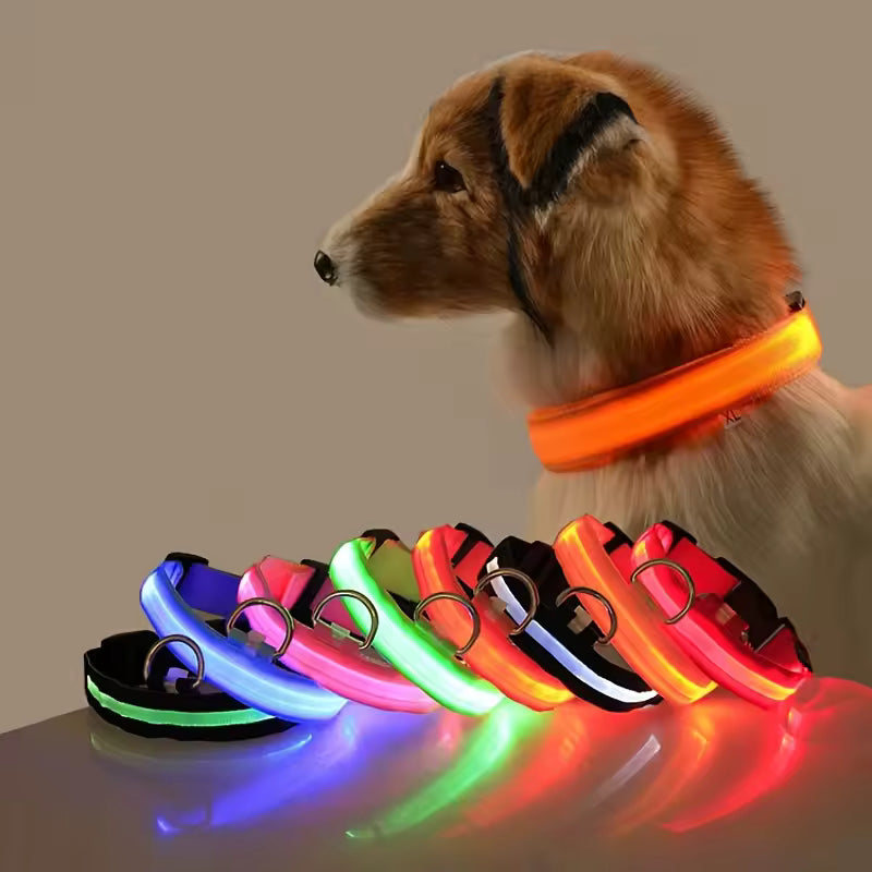 Collar LED Luminoso para Perros – Seguridad Nocturna