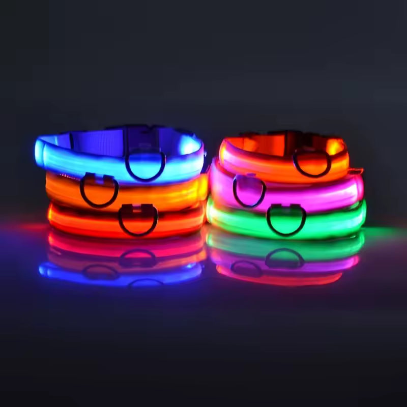 Collar LED Luminoso para Perros – Seguridad Nocturna